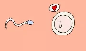 2026北京私立试管婴儿医院排名前十公布，附成功率对比