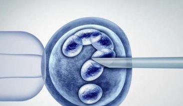 2026岳阳三大助孕公司介绍，优选高成功率助孕机构