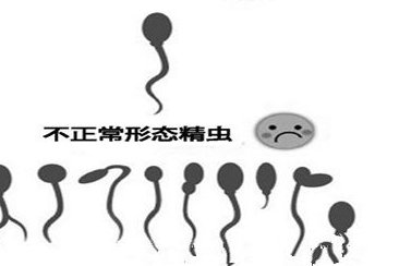 2026南京地区助孕机构权威榜单揭晓，哪家助孕公司能问鼎榜首？