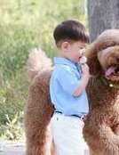 2026国内能做试管比较好的私立医院多少钱？