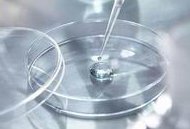 2026在广州私立医院做试管婴儿费用组成明细一览