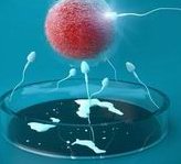 2026安徽助孕机构推荐_安徽三代试管婴儿靠谱医院哪家好