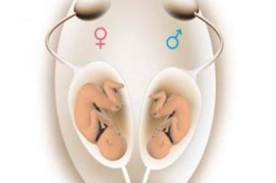 2026年上海三代试管全包价格大揭秘，费用明细及选择指南