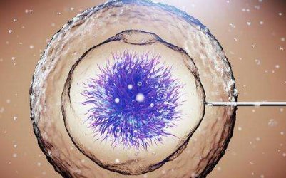 2026三代试管助孕孩价格是多少？